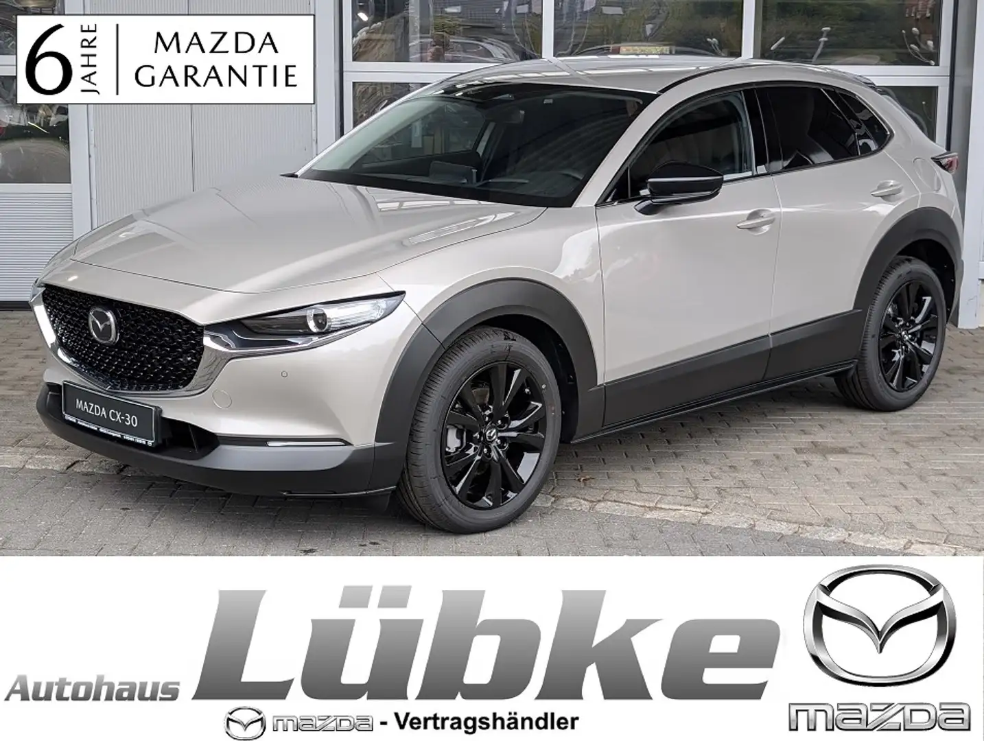 Mazda CX-30 2.5 G-140 6MT Homura *HeadUp*ACC*Keyless*El.Heckkl Gris - 1