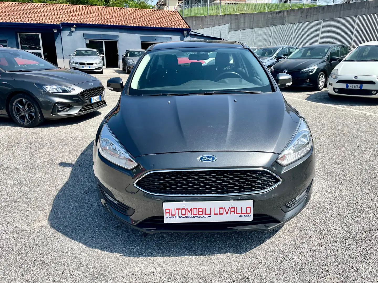 Ford Focus 5p 1.5 tdci 105cv 6m NAVI Grigio - 2
