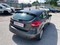 Ford Focus 5p 1.5 tdci 105cv 6m NAVI Grigio - thumbnail 6