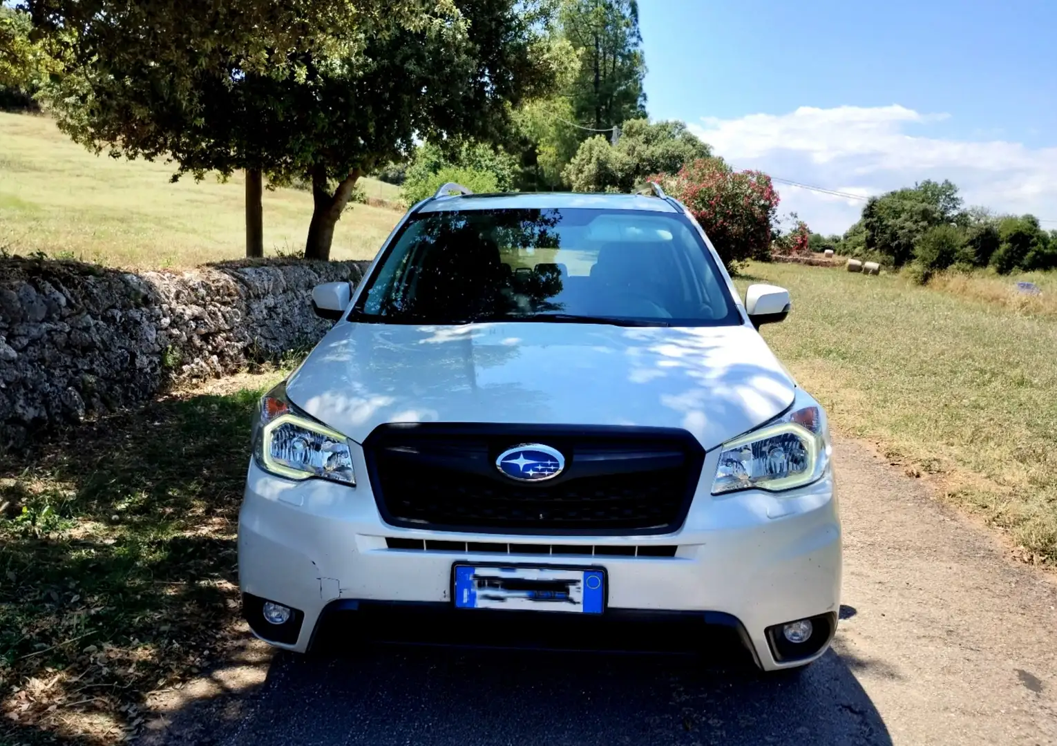 Subaru Forester 2.0i-L Exclusive bi-fuel cvt - 2
