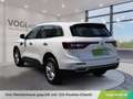 Renault Koleos Zen dCi 130PS Weiß - thumbnail 3