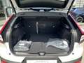 Volvo C40 Recharge 82 kWh Single M. Extended Range RWD Plus Weiß - thumbnail 7