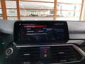 BMW X3 xDrive25d 231cv Luxury Harman/Kardon Cerchi 20 Noir - thumbnail 38