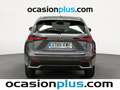 Lexus NX 300 300h Business 2WD Gris - thumbnail 14