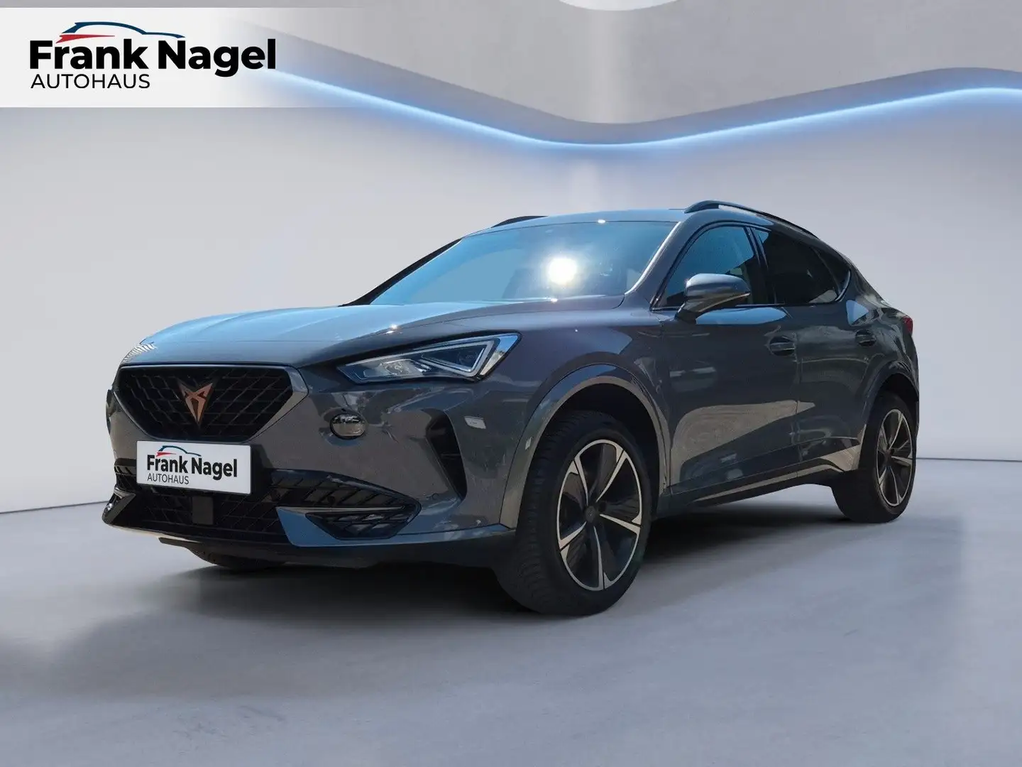 CUPRA Formentor 2.0 TSI 7-Gang-DSG 4Drive Gris - 1