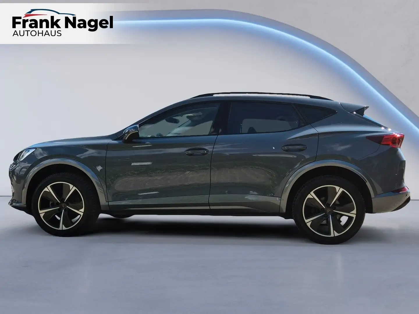 CUPRA Formentor 2.0 TSI 7-Gang-DSG 4Drive Gris - 2