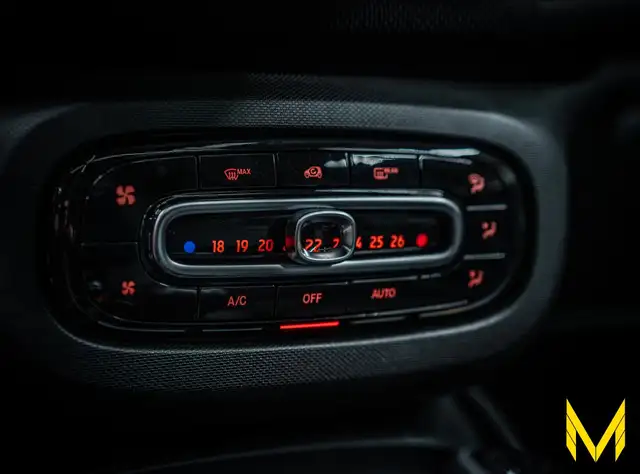 Smart Fortwo view 16