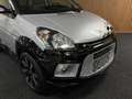 Ligier IXO Treck Sport | Leiser DCI Motor - thumbnail 10