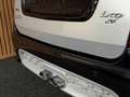 Ligier IXO Treck Sport | Leiser DCI Motor - thumbnail 18