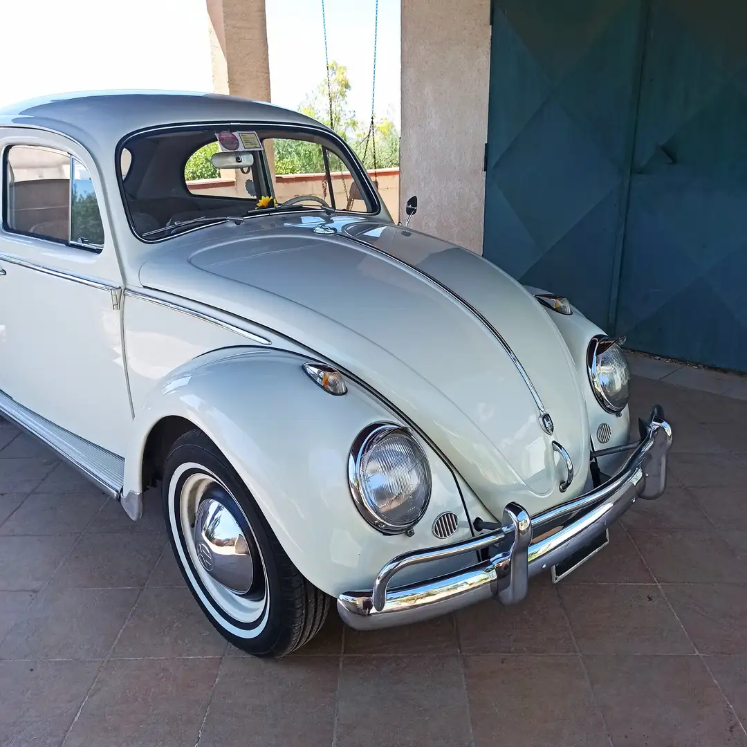 Volkswagen Maggiolino Maggiolino 1200 6 volts Bianco - 2