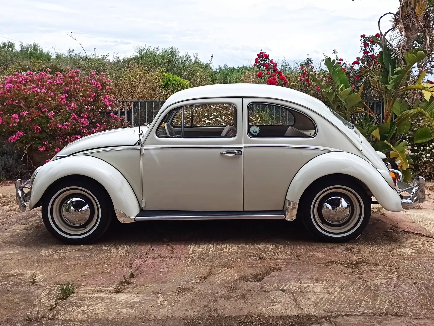 Volkswagen Maggiolino Maggiolino 1200 6 volts Bianco - 1