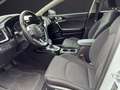 Kia Ceed / cee'd Ceed 1.6 CRDi Mild Hybrid Vision   *Tempomat*Klima Weiß - thumbnail 9