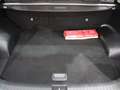Kia Sportage 1.6 CRDI 115 CV 2WD Energy Weiß - thumbnail 8