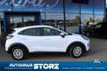 Ford Puma Cool & Connect WINTER PAKET|CARPLAY|KLIMAANLAGE|SY Blanc - thumbnail 2