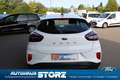 Ford Puma Cool & Connect WINTER PAKET|CARPLAY|KLIMAANLAGE|SY Blanc - thumbnail 4