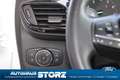 Ford Puma Cool & Connect WINTER PAKET|CARPLAY|KLIMAANLAGE|SY Blanc - thumbnail 19