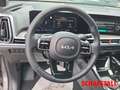 Kia Sorento 2,2 CRDI DCT AWD Platinum 7-Sitz. Pano Premium-P. Schwarz - thumbnail 12