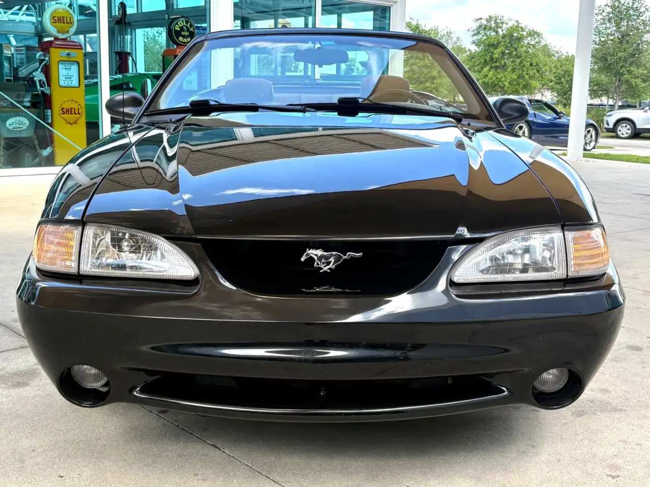 Ford Mustang Cobra, foto 2