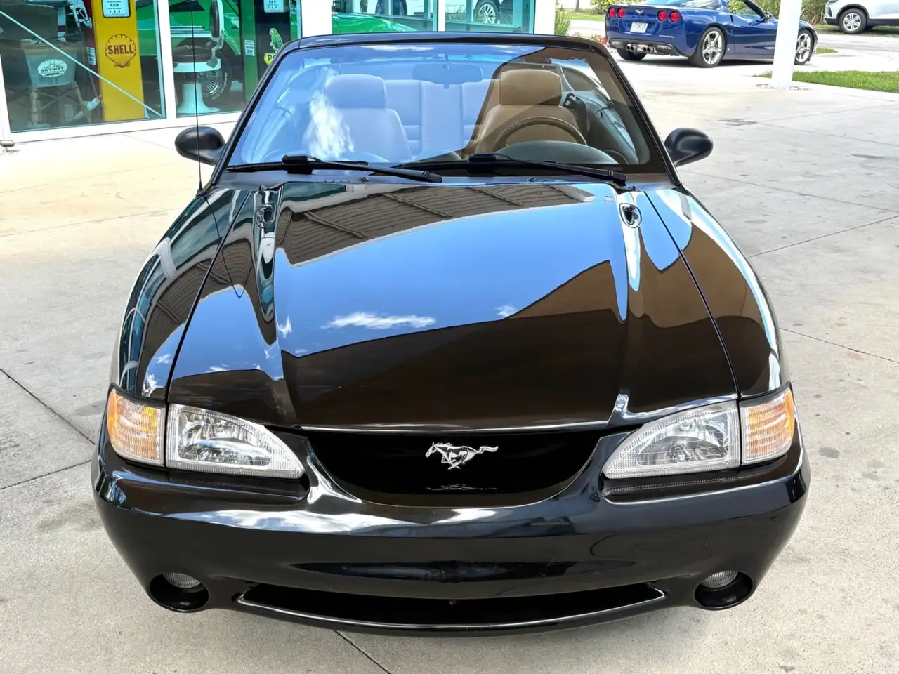 Ford Mustang Cobra, foto 3