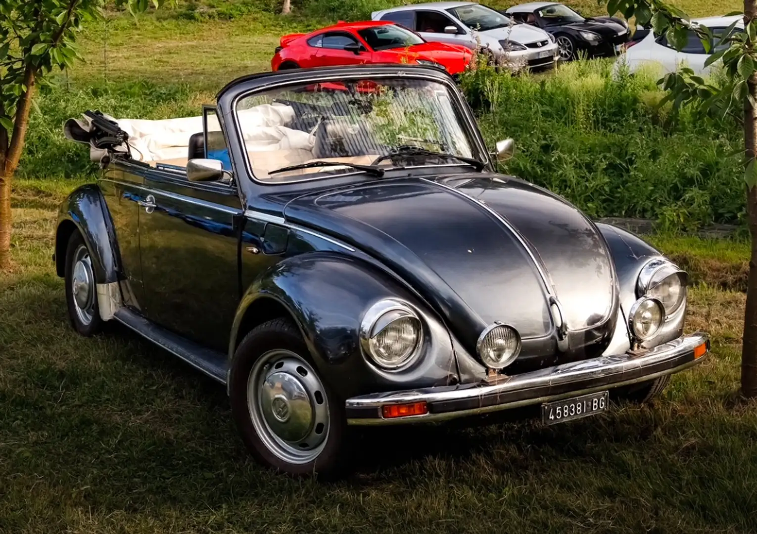 Volkswagen Beetle Cabrio Grigio - 1