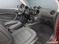 smart forTwo ForTwo Cabrio EQ Prime LED/22 kW/Kamera/JBL/DAB/ Rot - thumbnail 13