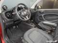 smart forTwo ForTwo Cabrio EQ Prime LED/22 kW/Kamera/JBL/DAB/ Rot - thumbnail 10