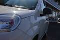 Fiat Panda Urban Hybrid 1.0 GSE/Klima/Radio/Bluetooth Weiß - thumbnail 7