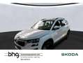 Skoda Karoq 2.0 TDI SCR DSG Ambition Weiß - thumbnail 1