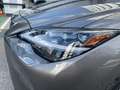 Lexus LS 500 500h Luxury Haku AWD Grijs - thumbnail 14