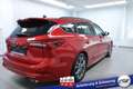 Ford Focus Turnier ST-Line X #ACC #Matrix-LED #el. Heckkla... Rouge - thumbnail 7