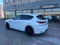Mazda CX-60 CX-60 2.5 phev Homura + TUTTI I PACK Bianco - thumbnail 12