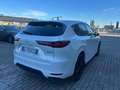 Mazda CX-60 CX-60 2.5 phev Homura + TUTTI I PACK Bianco - thumbnail 9