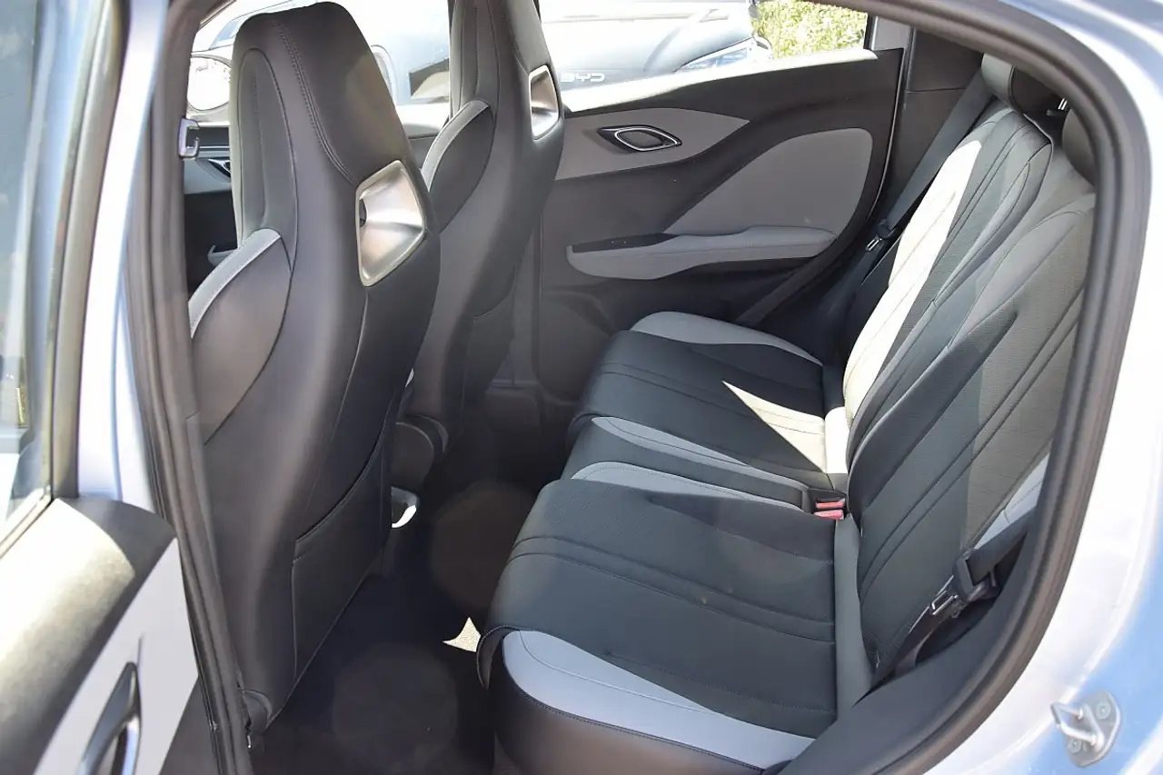 BYD DOLPHIN SURF