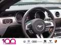 Ford Mustang Convertible 2.3 EcoBoost Navi+PDC+Premium Sound+Xe siva - thumbnail 9