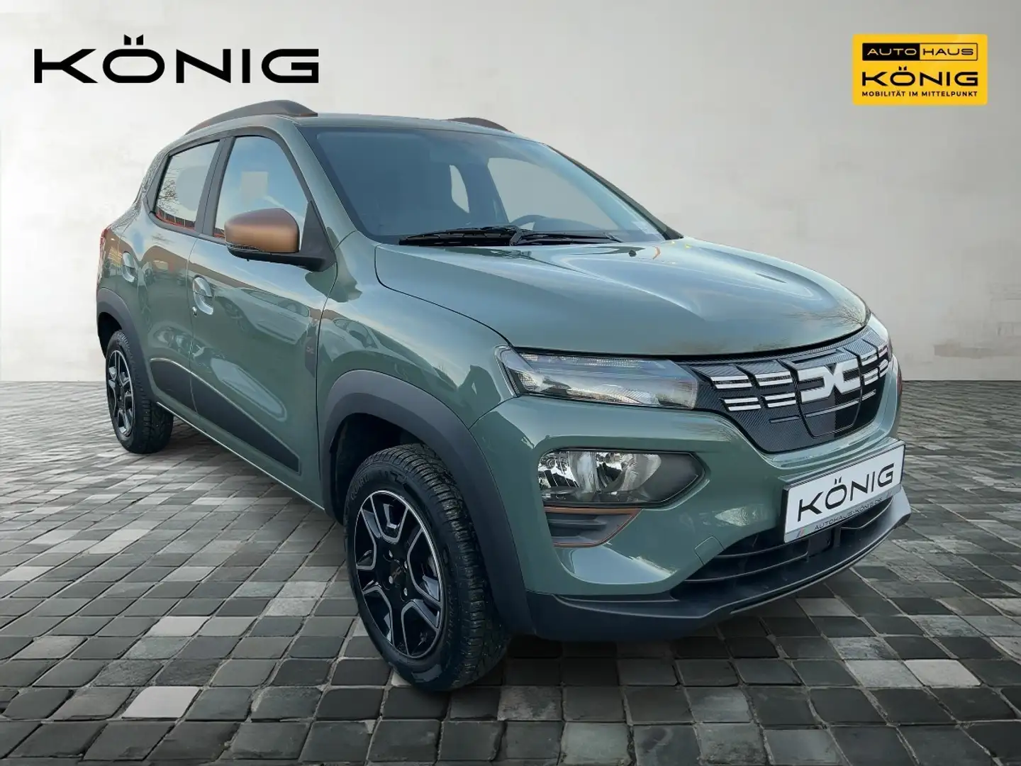 Dacia Spring Extreme Allwetterreifen Grün - 2