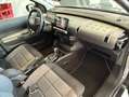 Citroen C4 Cactus 1.5 bluehdi Shine s AUTOAMATICA PERFETTA Grigio - thumbnail 13