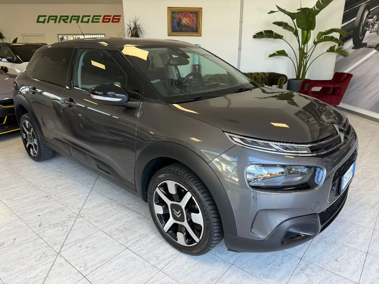Citroen C4 Cactus 1.5 bluehdi Shine s AUTOAMATICA PERFETTA Grigio - 1