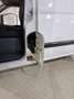 Mercedes-Benz Vito Kasten 111 CDI Choice lang Blanco - thumbnail 18