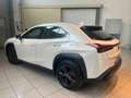 Lexus UX 250h 2.0 Urban 2wd cvt UNICO PROPRIETARIO Bianco - thumbnail 4