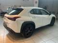 Lexus UX 250h 2.0 Urban 2wd cvt UNICO PROPRIETARIO Bianco - thumbnail 6
