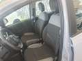 Fiat Panda Panda 1.0 FireFly S&S Hybrid Gris - thumbnail 11