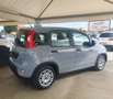 Fiat Panda Panda 1.0 FireFly S&S Hybrid Gris - thumbnail 4