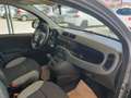 Fiat Panda Panda 1.0 FireFly S&S Hybrid Gris - thumbnail 8