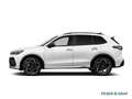 Volkswagen Tiguan R-Line 2,0 l TDI SCR 4 193 PS 7-DSG Weiß - thumbnail 16