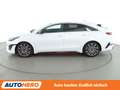 Kia ProCeed / pro_cee'd 1.6 TGDI GT Aut*NAVI*LED*ACC*CAM*PDC*SHZ* Weiß - thumbnail 3