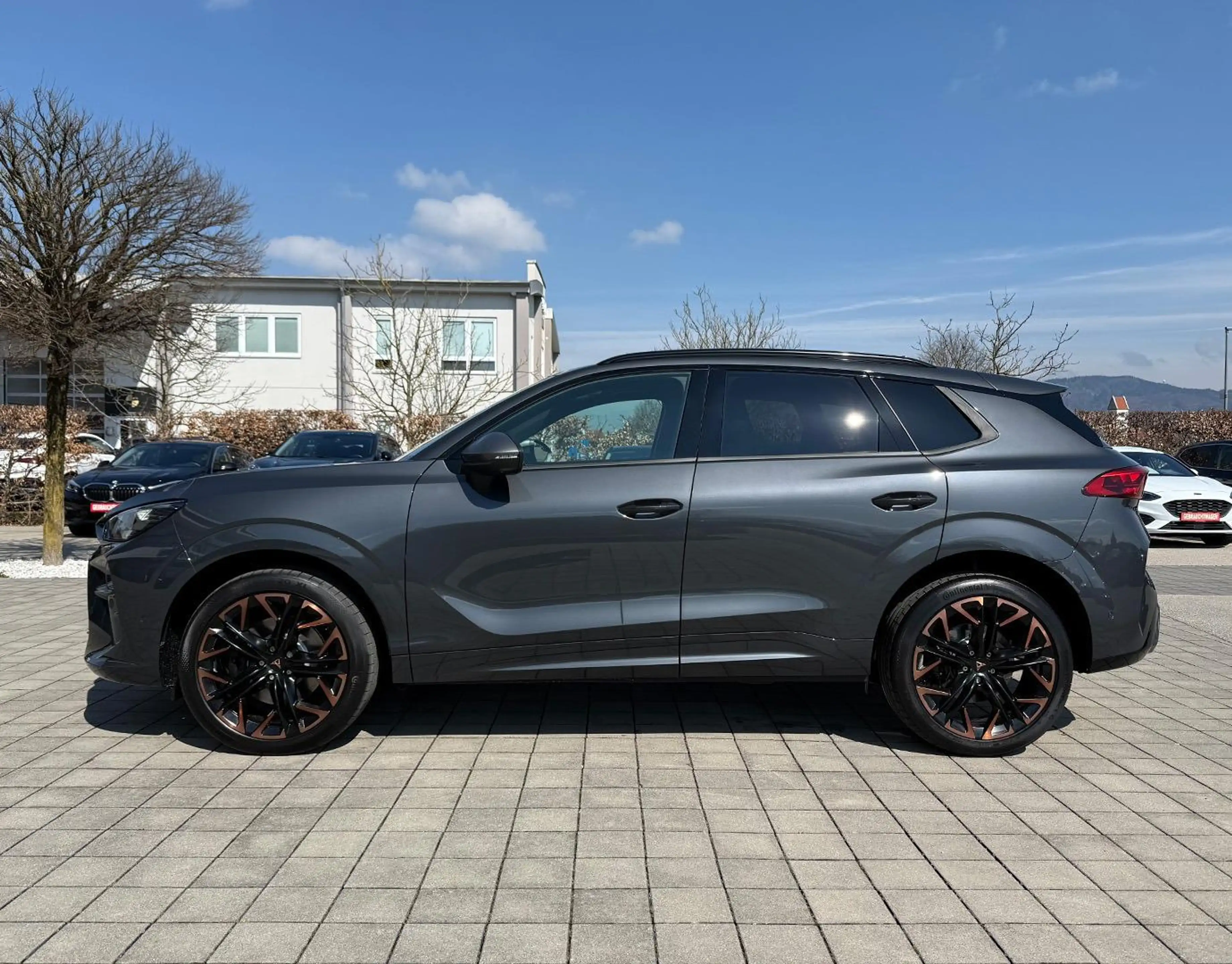 CUPRA Terramar VZ 2.0 TSI 195kW DSG 4Drive (Vorlauf) PANO/NAV/... — photo 7