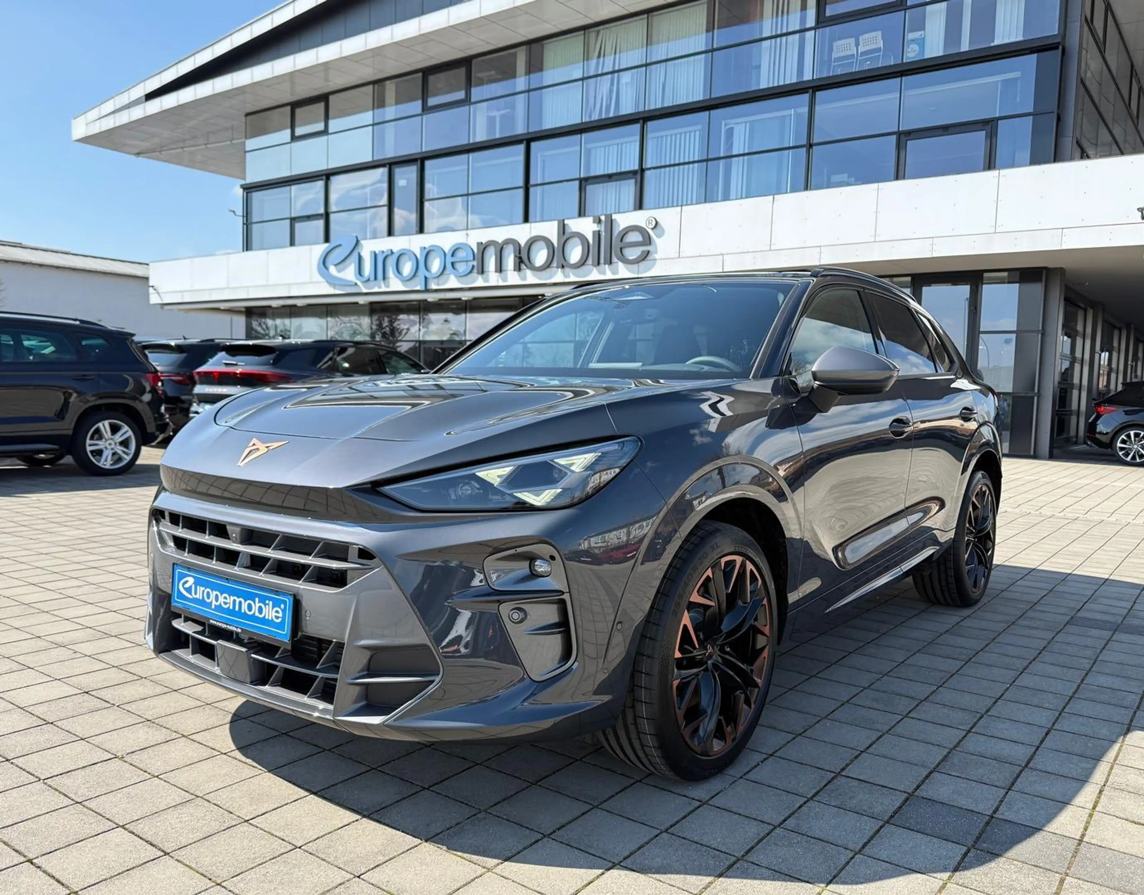 CUPRA Terramar VZ 2.0 TSI 195kW DSG 4Drive (Vorlauf) PANO/NAV/... — photo 6