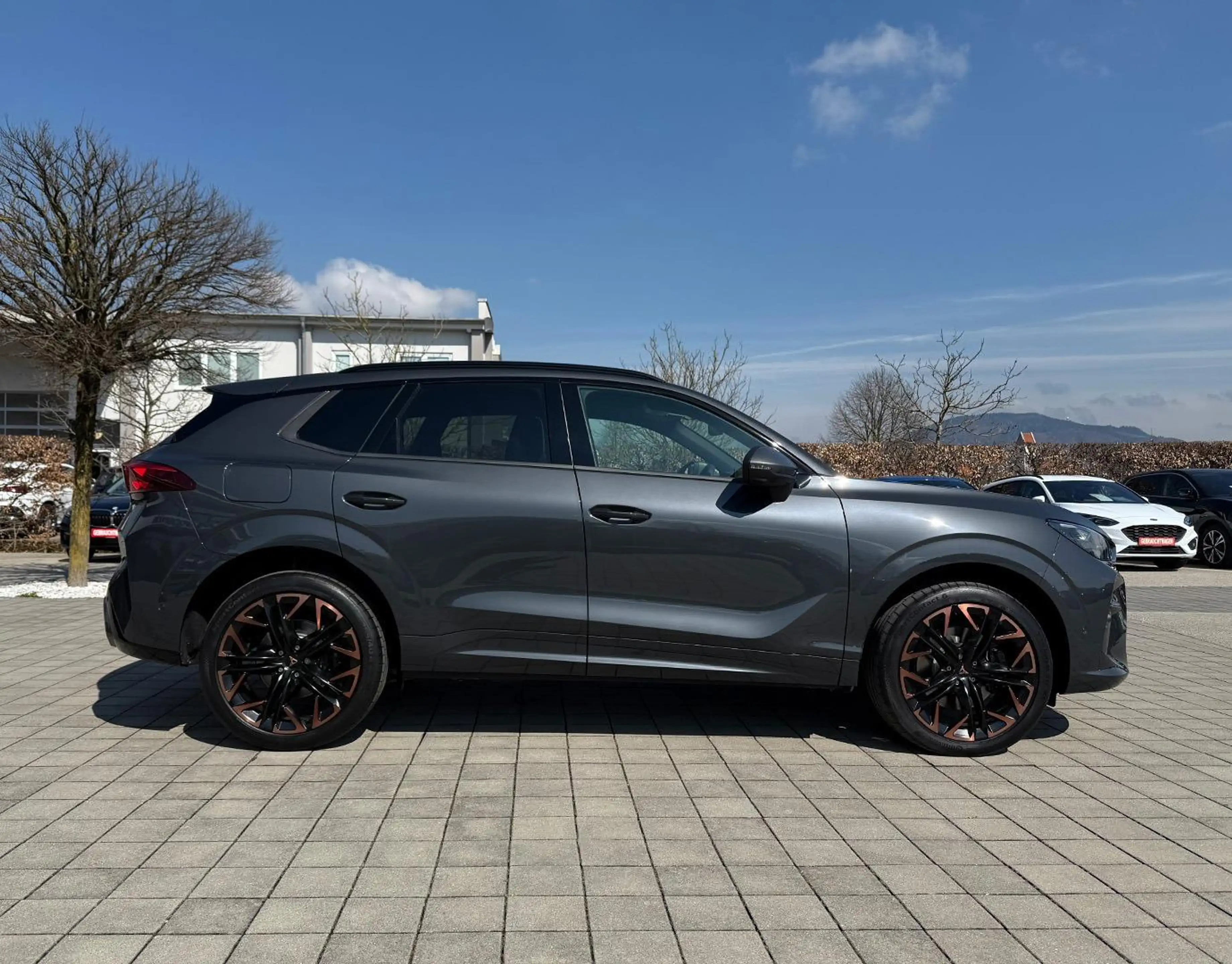 CUPRA Terramar VZ 2.0 TSI 195kW DSG 4Drive (Vorlauf) PANO/NAV/... — photo 11