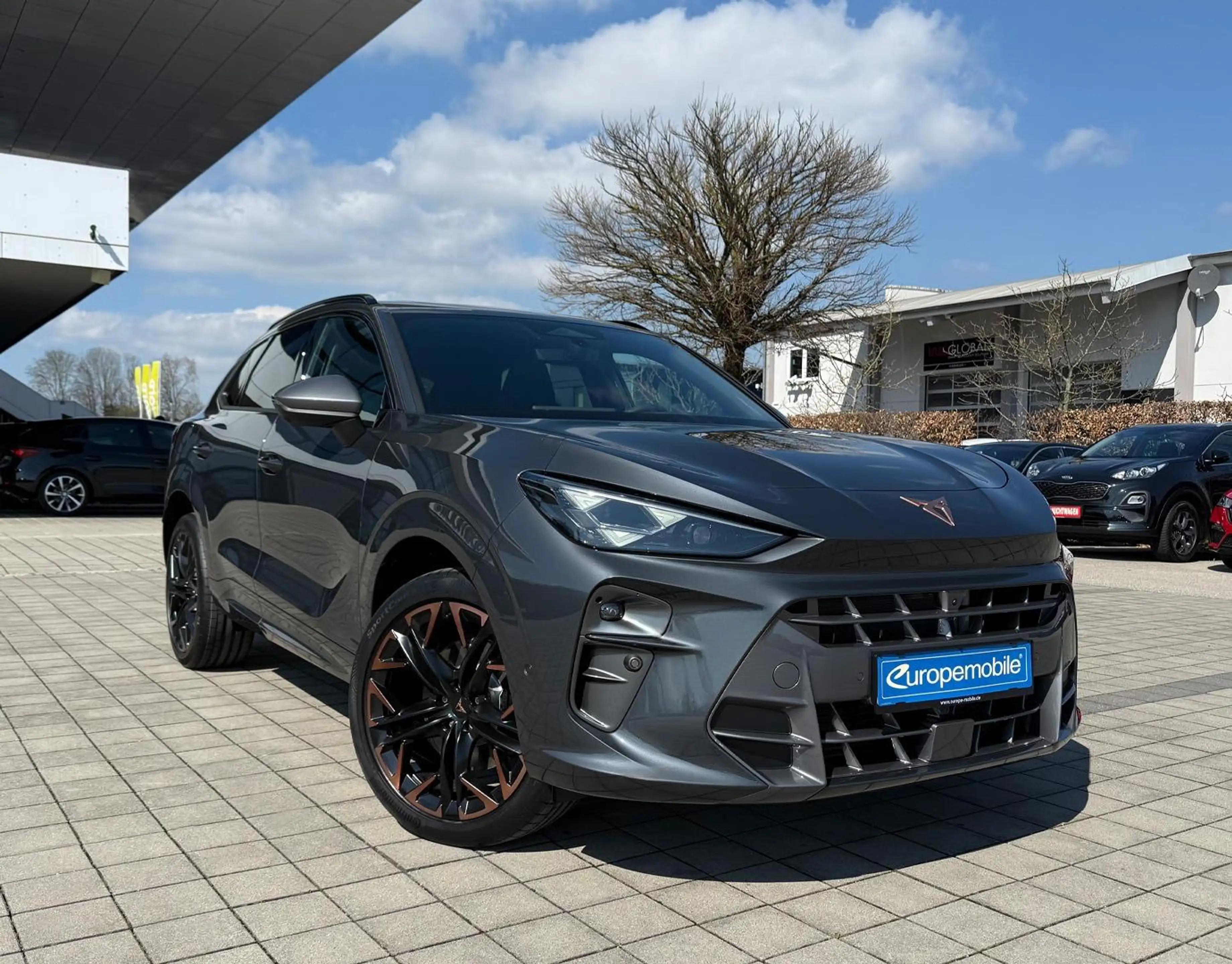 CUPRA Terramar VZ 2.0 TSI 195kW DSG 4Drive (Vorlauf) PANO/NAV/... — photo 4