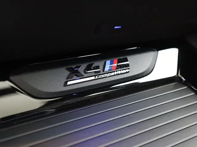 BMW X4 M Competition Aut LASER 360-CAM HEAD-UP SKY Ansicht 21